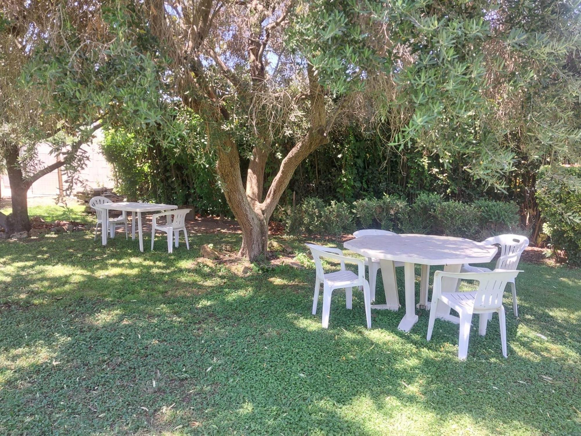 Homestay Speedy Guest - Vicino Aeroporto E Fiera Fiumicino